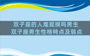 双子座的人难捉摸吗男生 双子座男生性格特点及弱点